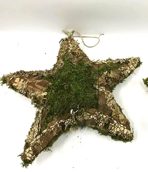 Garden moss hanging star