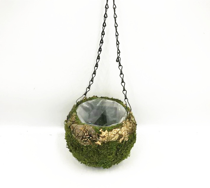 Garden moss hanging basket