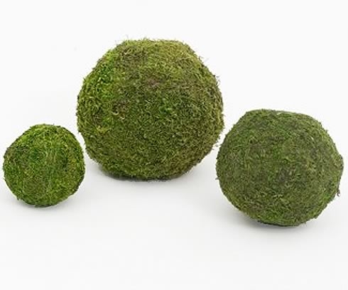 Balls Preserved Moss 4