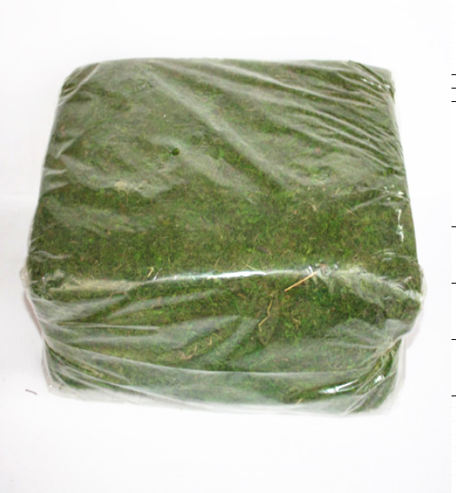 peat moss 1 kg