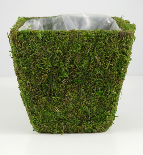 square moss flower pot