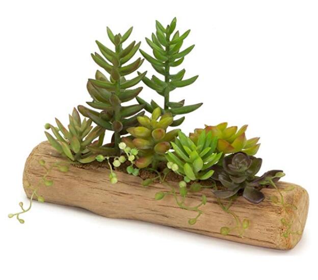 Driftwood log planter